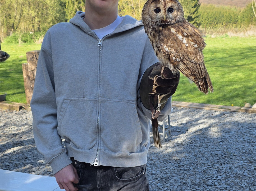 Le Jardin des Hiboux-Bievre必去景点