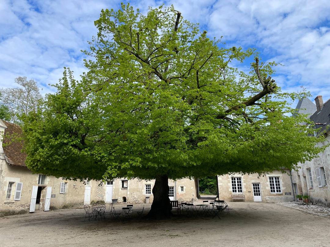 Chateau de Villesavin-Tour-en-Sologne必去景点