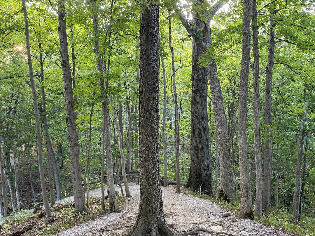 Cincinnati Nature Center-Milford必去景点