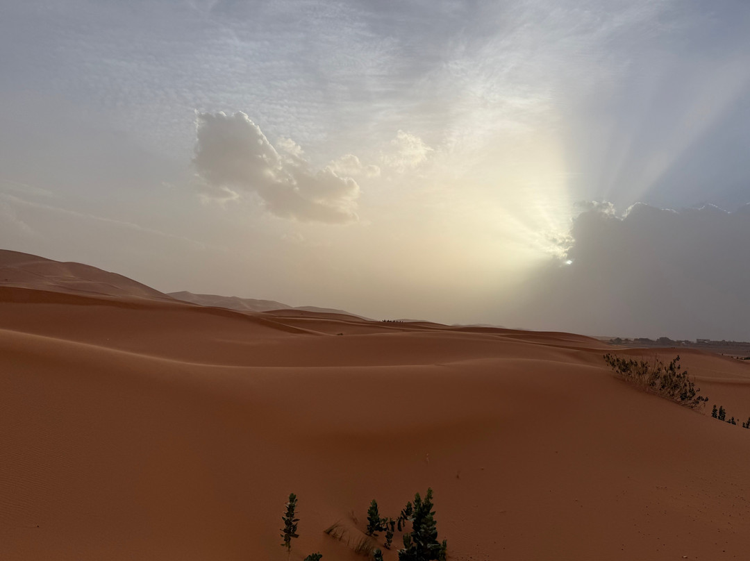 Wild Desert of Morocco-卡萨布兰卡必去景点