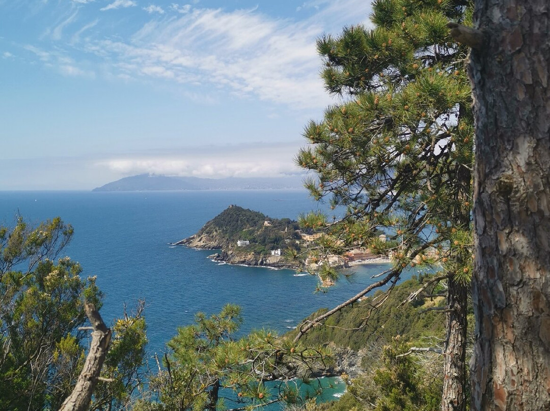 Sentiero per Punta Manara-东塞斯特里必去景点