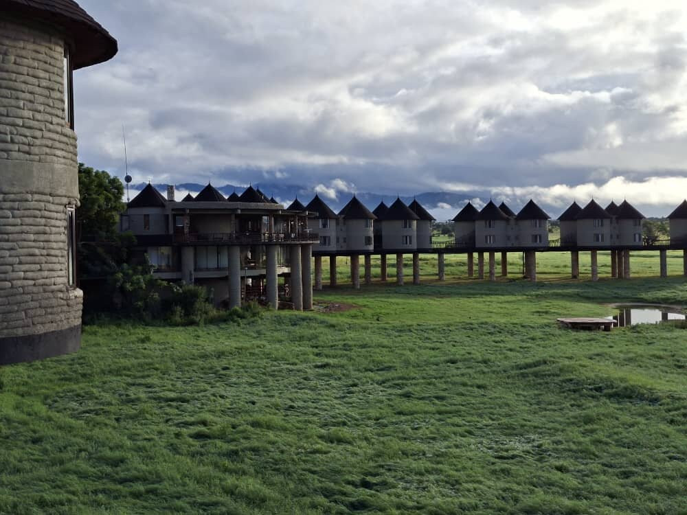 萨尔特利克野生动物园小屋主图