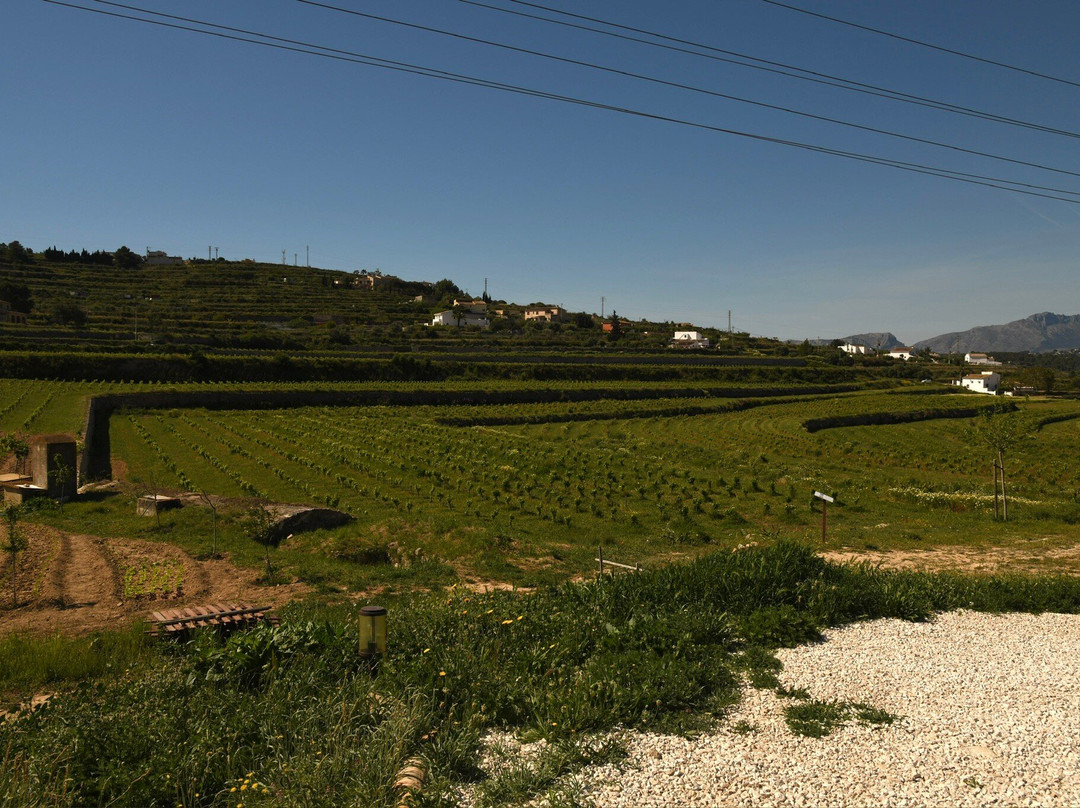 Bodega Montesanco Teulada-Teulada必去景点