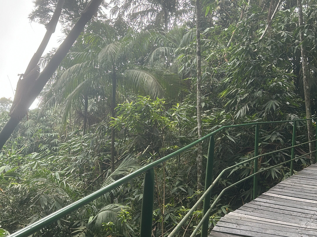 Parque Nacional da Serra dos Órgãos-特雷索波利斯必去景点