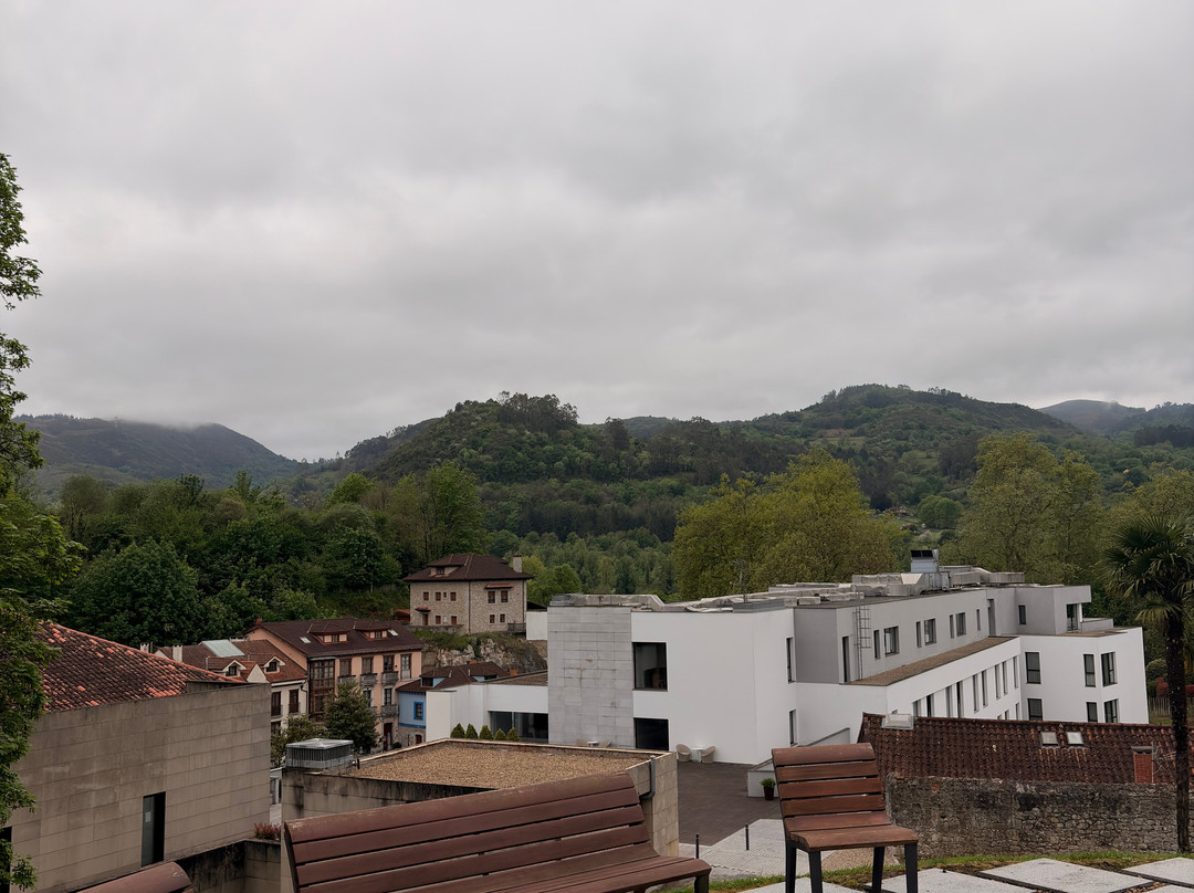 布劳酒店拉斯卡尔达斯，丽笙精选成员主图