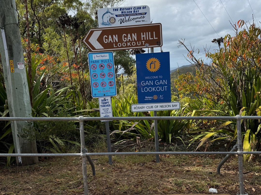 Gan Gan Lookout-尼尔森湾必去景点