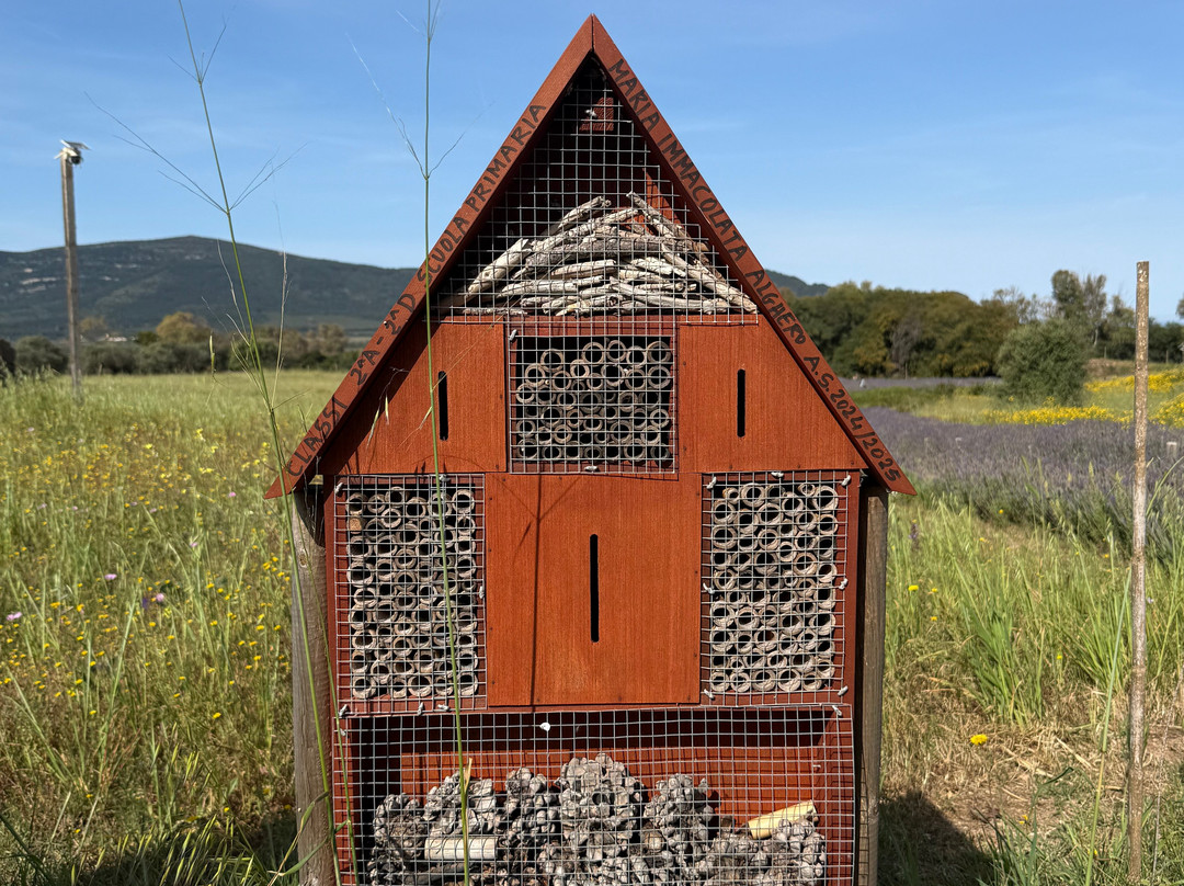 Bee Garden Alghero-阿尔盖罗必去景点