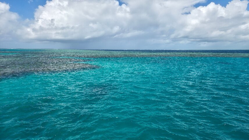 ABC Reef Safaris-道格拉斯港必去景点