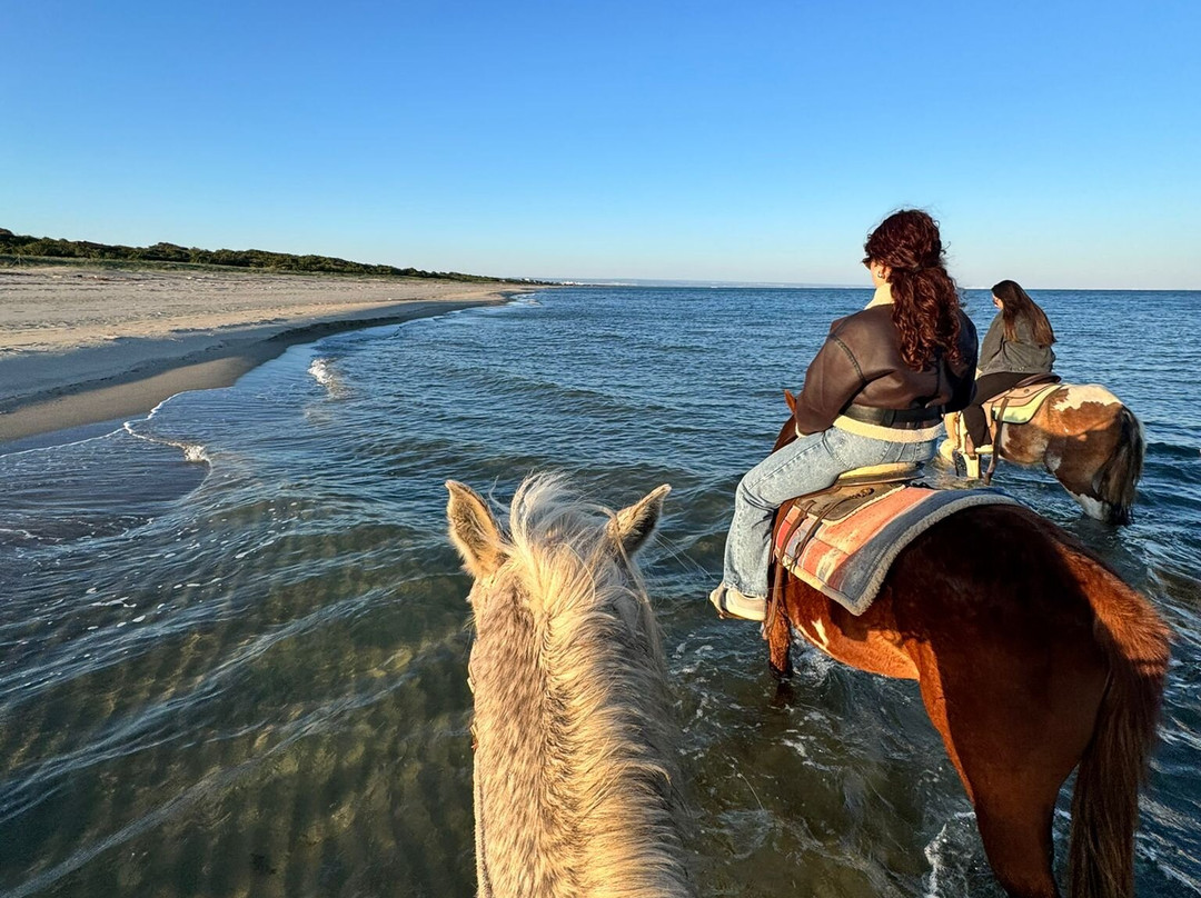 Family Horses 373-5361953-Marina di Ginosa必去景点