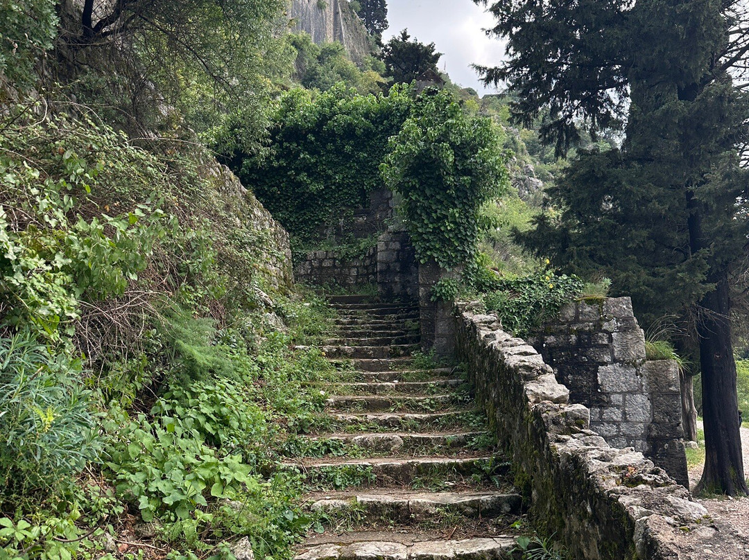Kotor Old Town-科托尔必去景点