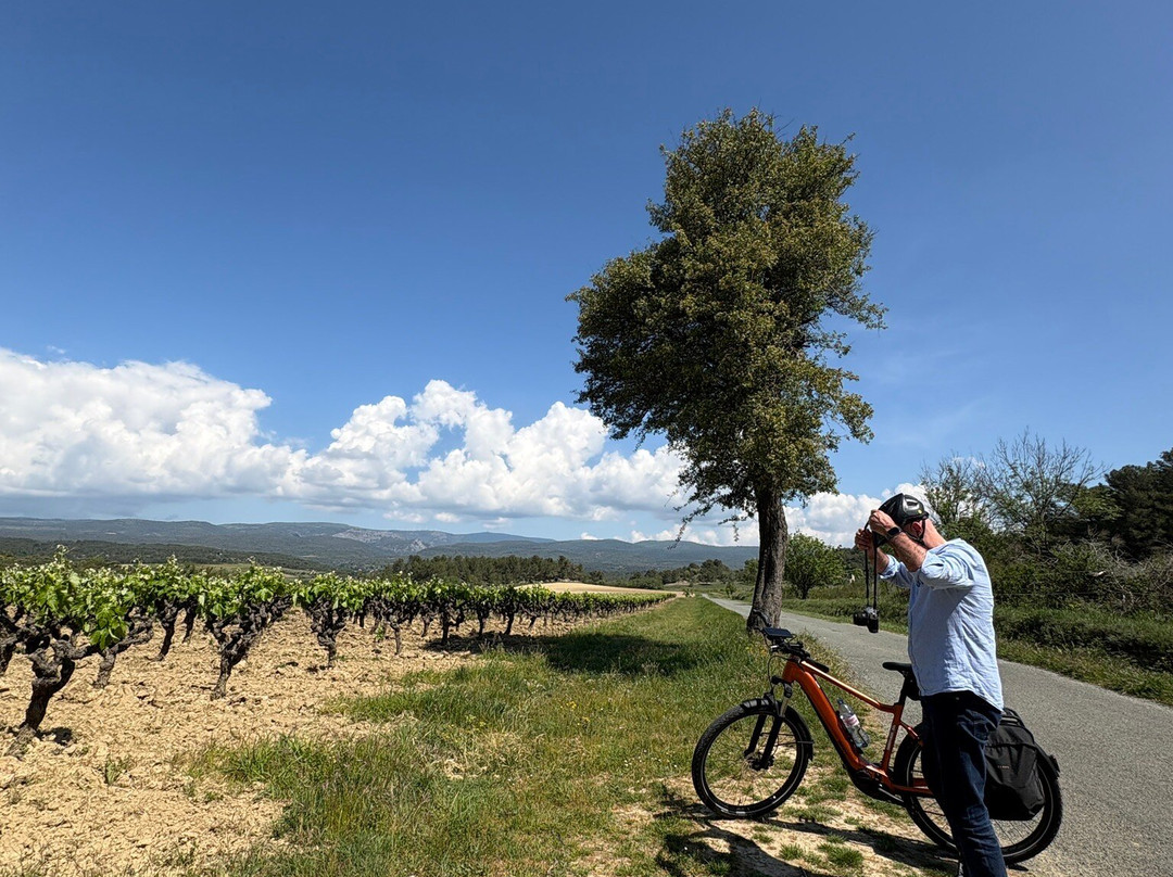 Easy Vélo Carcassonne-Villegly必去景点