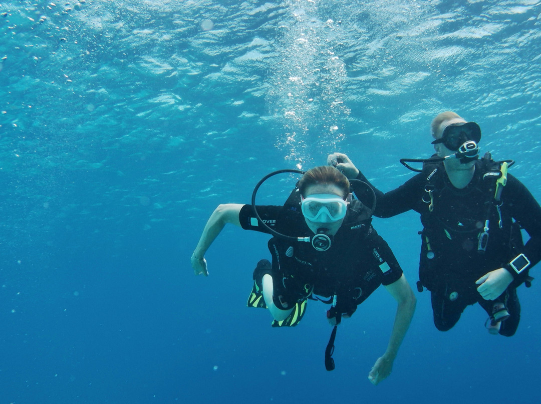 Porto Mari Dive Center-Sint Willibrordus必去景点