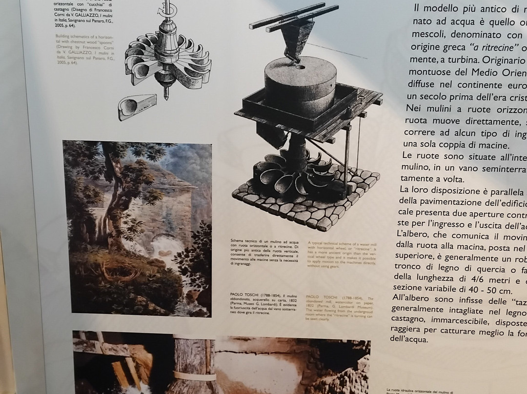 Museo della Pasta-Collecchio必去景点