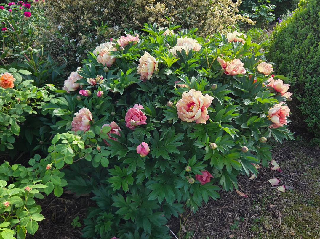 Il Giardino di Casa Biasi-Pesina必去景点