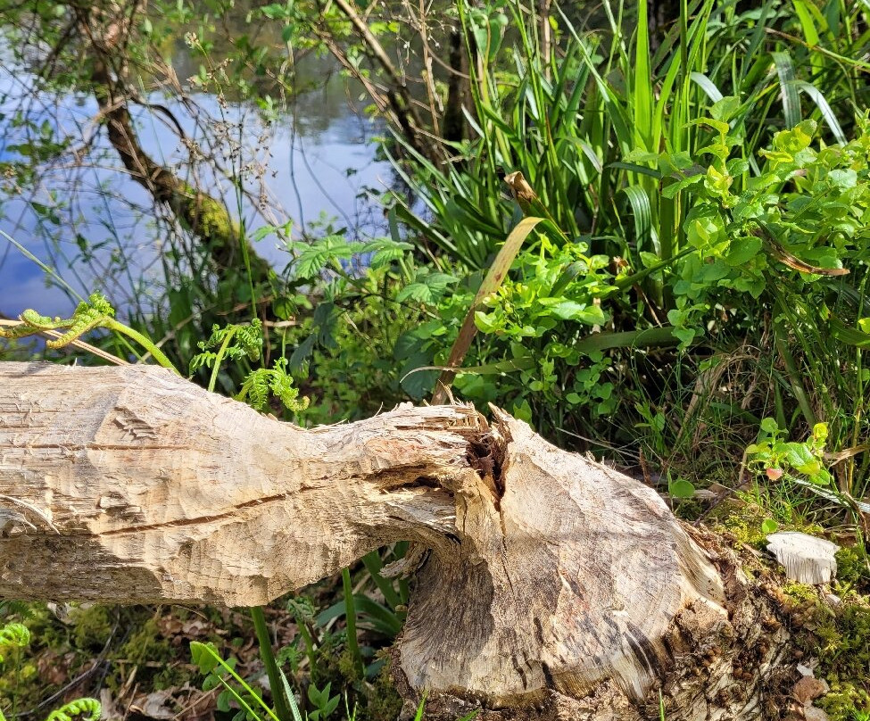 Argyll Beaver Centre-Lochgilphead必去景点