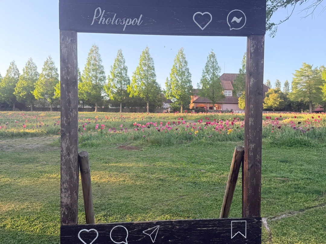 Shiga Blumen Hugel Farm-日野町必去景点