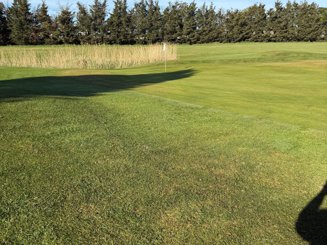 The Suffolk Golf Club-圣埃德蒙兹伯里必去景点