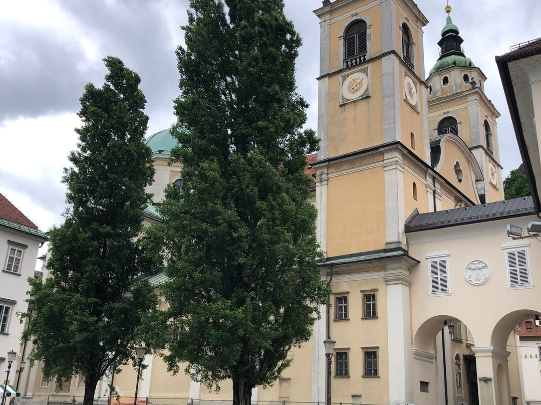 圣尼古拉斯大教堂（Stolnica Sv. Nikolaja）-卢布尔雅那必去景点