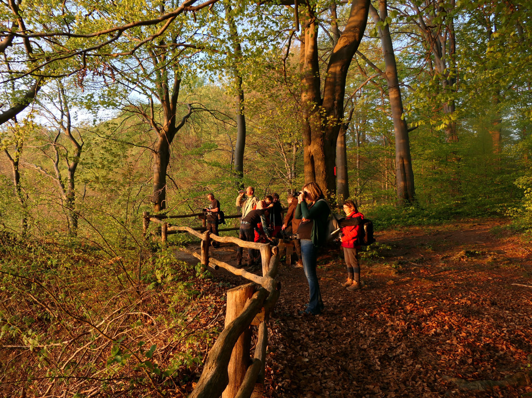 Foto-Wandern.com-Nordhausen必去景点