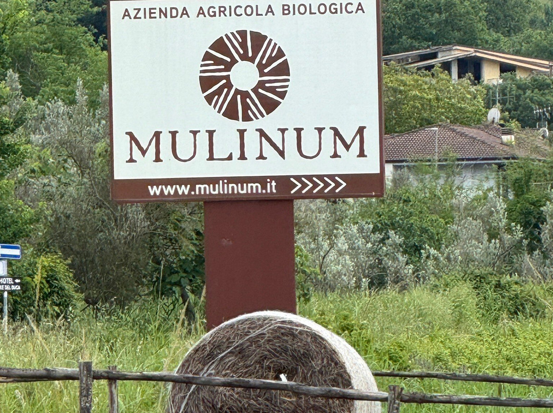 Mulinum-San Floro必去景点