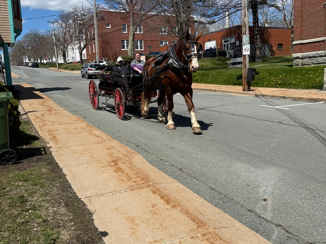 Lunenburg Historic District-卢嫩堡必去景点