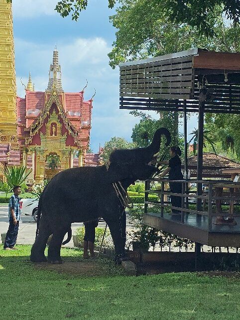 Phuket Guide Driver-Wichit必去景点