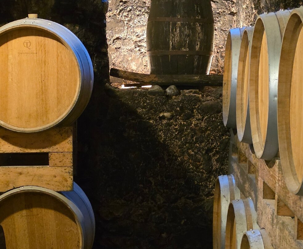 Museo del Vino-Illasi必去景点
