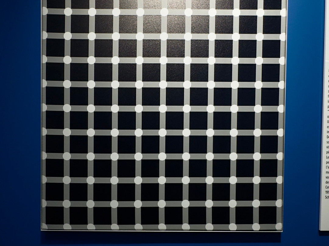 Museum of Illusions Genève-日内瓦必去景点