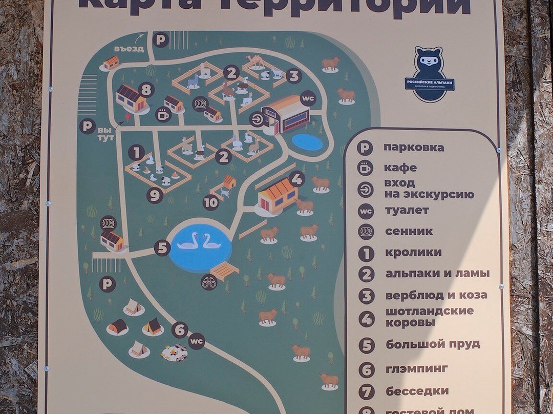 Russian Alpaca Farm-Pokhodkino必去景点