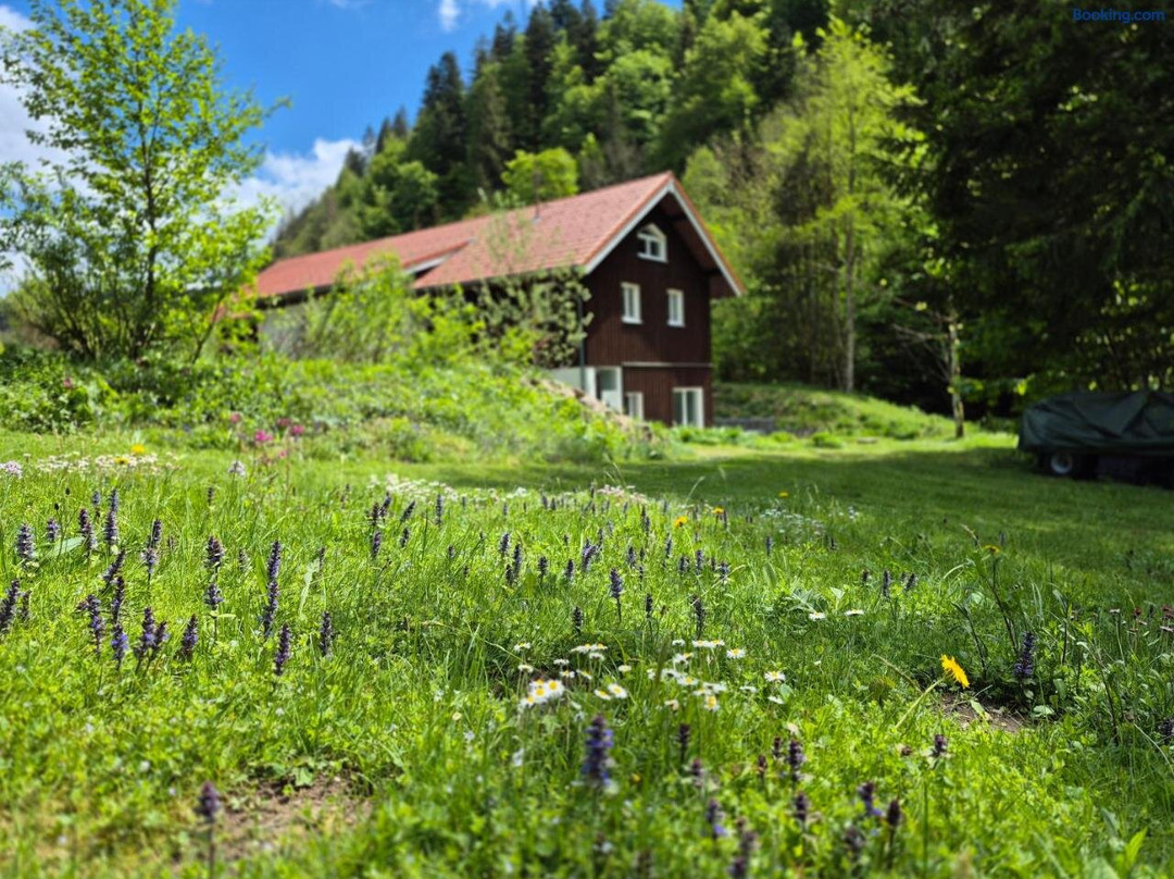 Sagemuhle Eschachthal