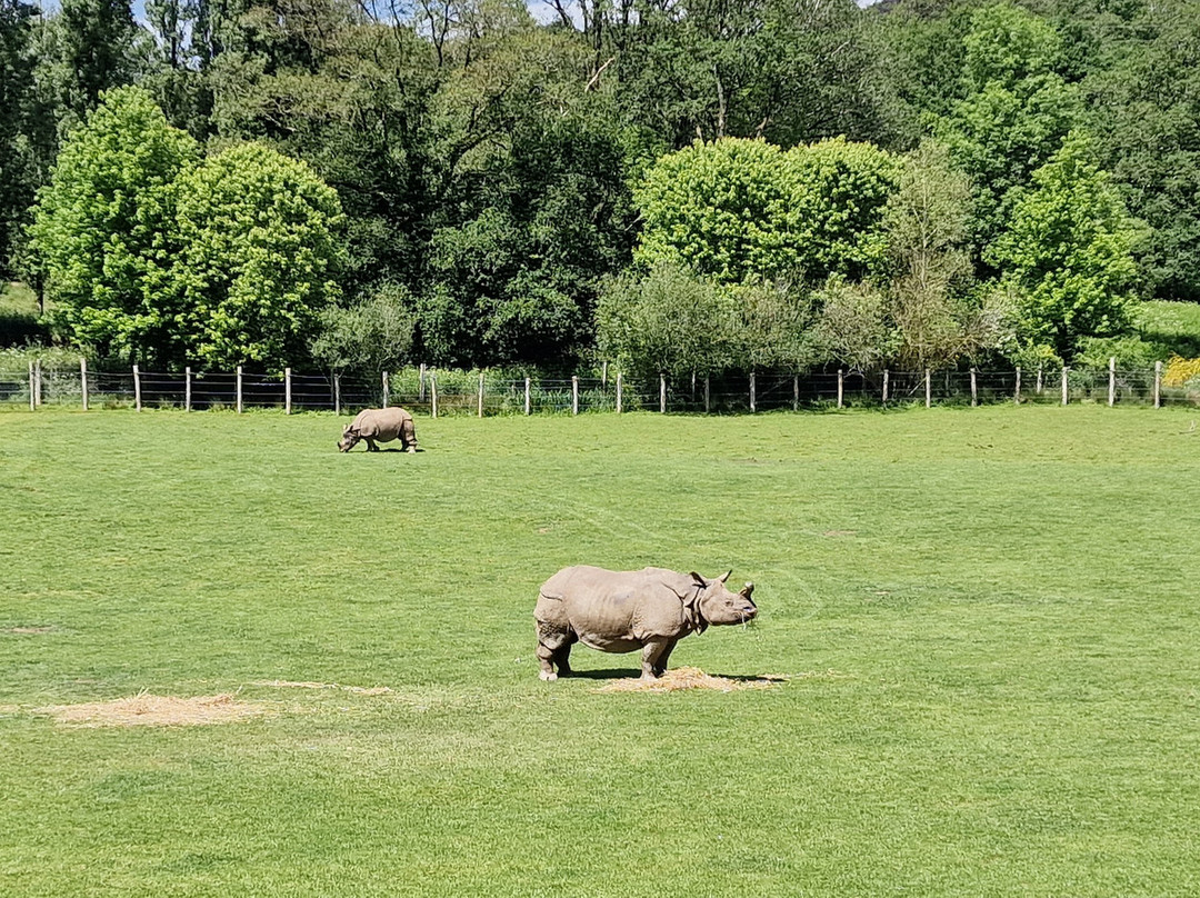Parc Animalier et Botanique de Branféré-Le Guerno必去景点