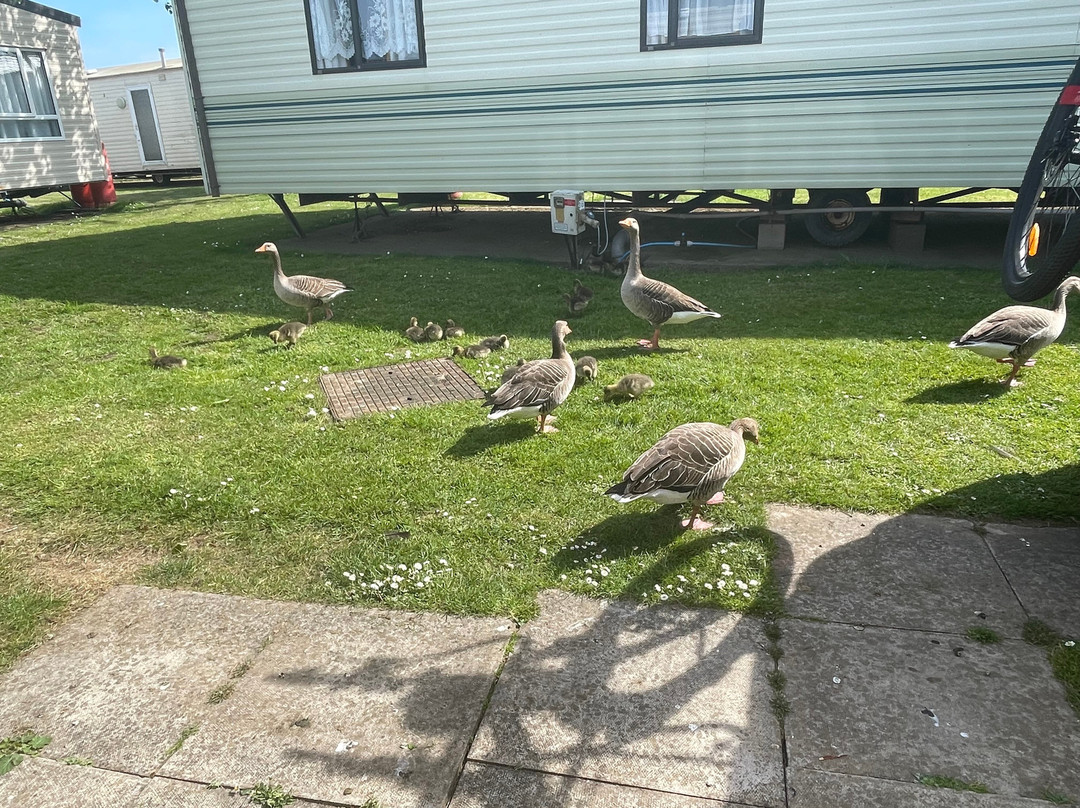 Cleethorpes Beach Holiday Park主图