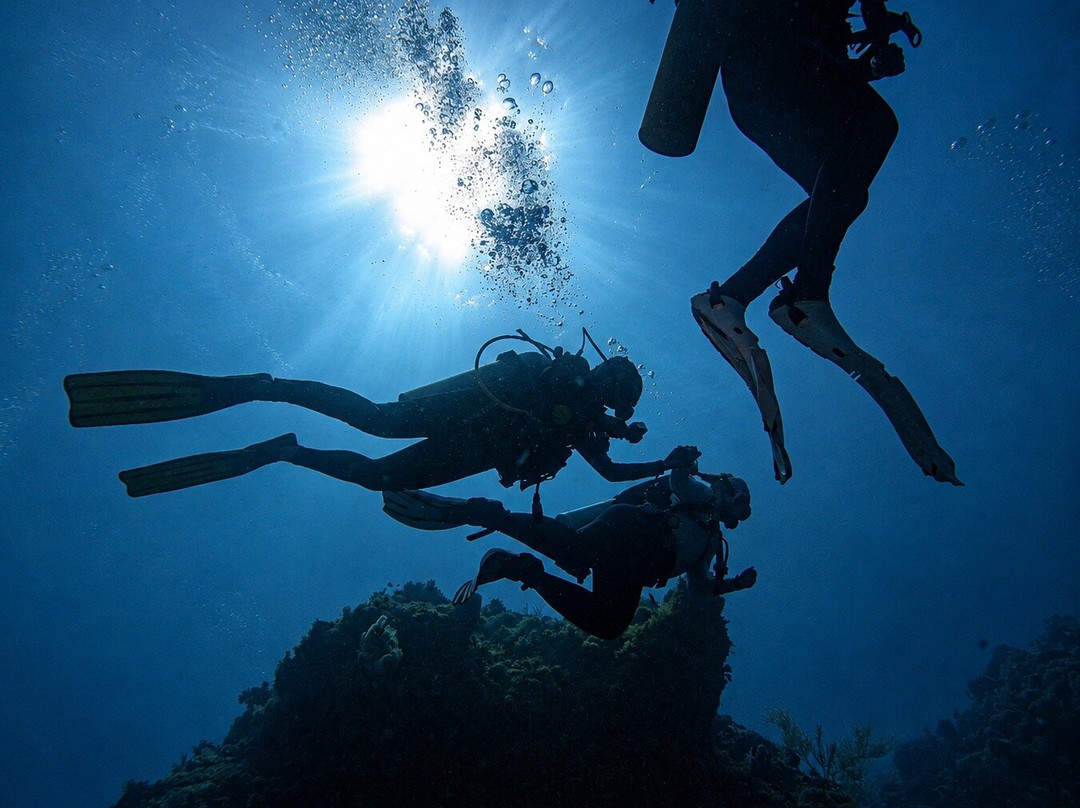Scuba Life Cozumel-San Miguel de Cozumel必去景点