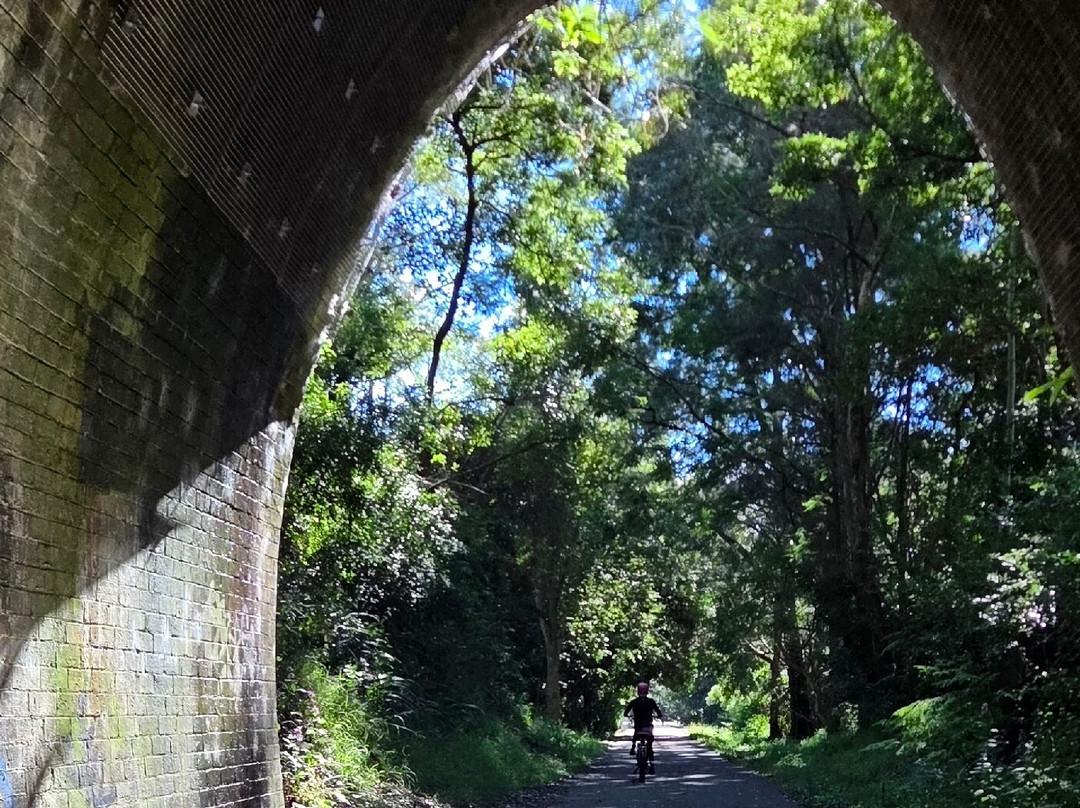 Fernleigh Track-纽卡斯尔必去景点