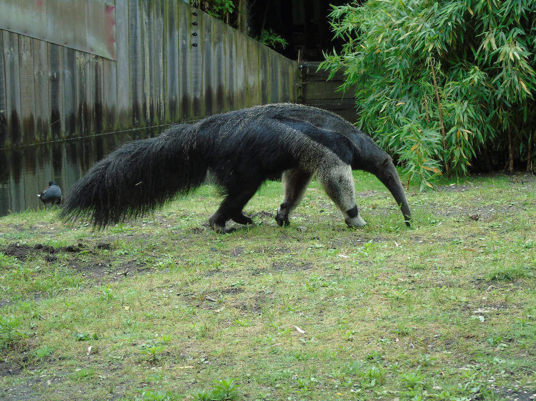 Zoo Bassin d'Arcachon-拉泰斯特德比克必去景点