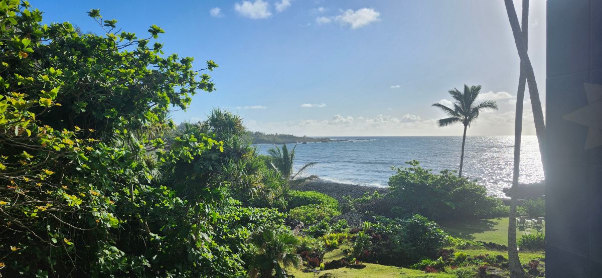 Bamboo Inn on Hana Bay-酒店景观
