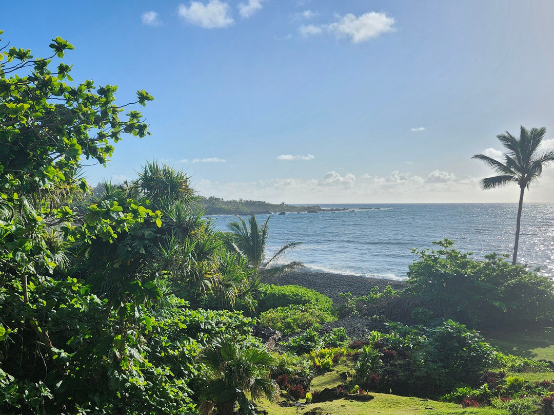Bamboo Inn on Hana Bay主图