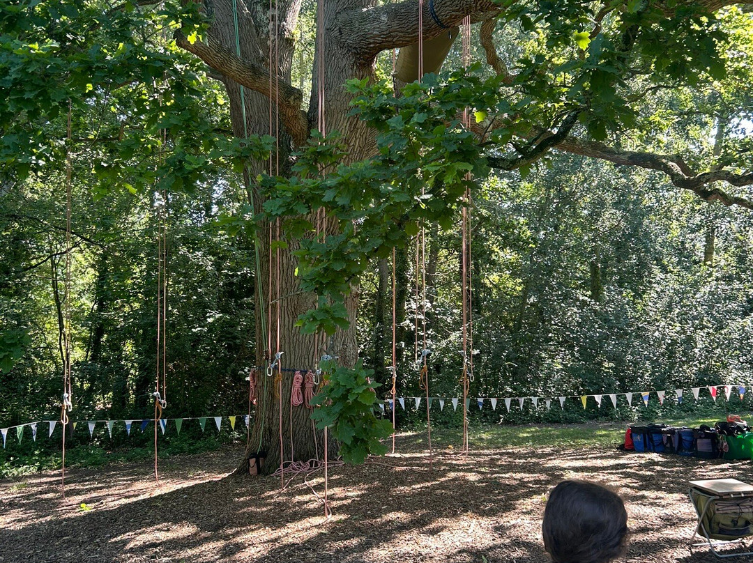 Goodleaf Tree Climbing-赖德必去景点