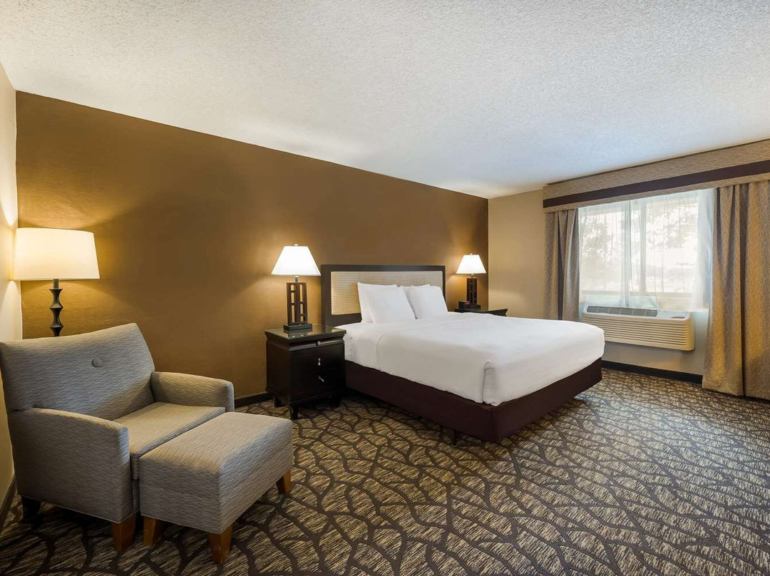 利沃尼亚酒店住宿-Best Western Detroit Livonia