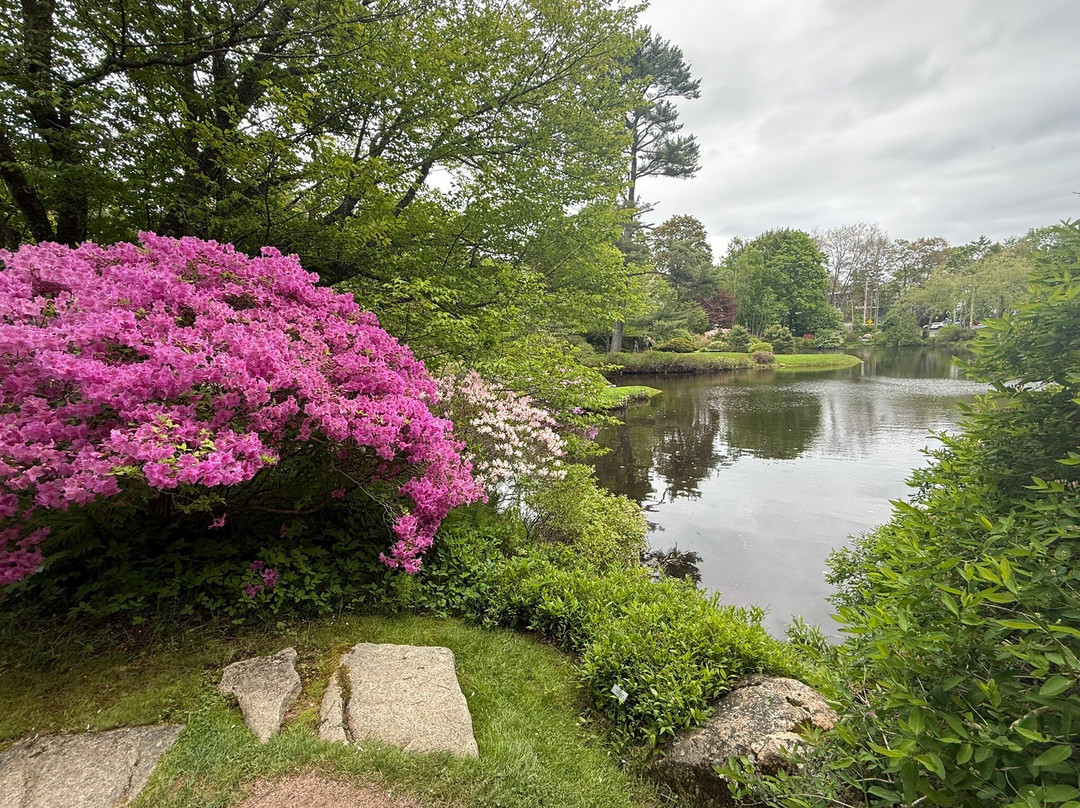 Asticou Azalea Garden-Northeast Harbor必去景点