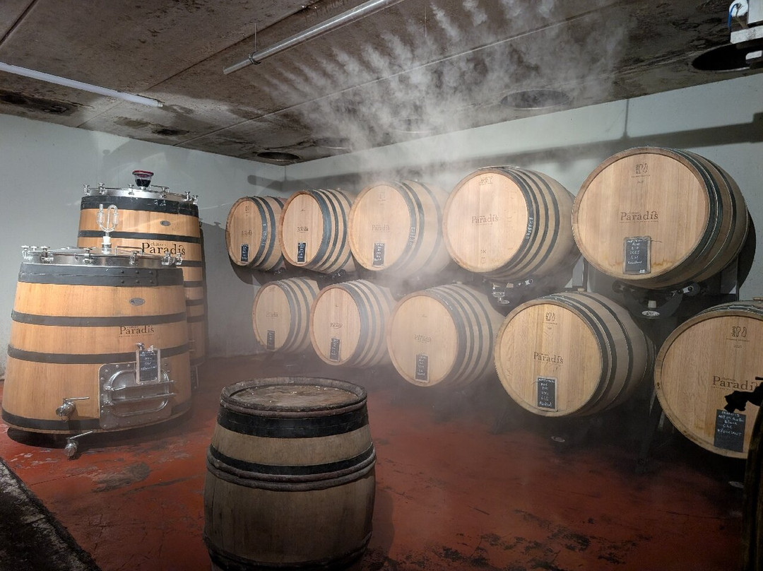 Château Paradis-Le Puy-Sainte-Reparade必去景点