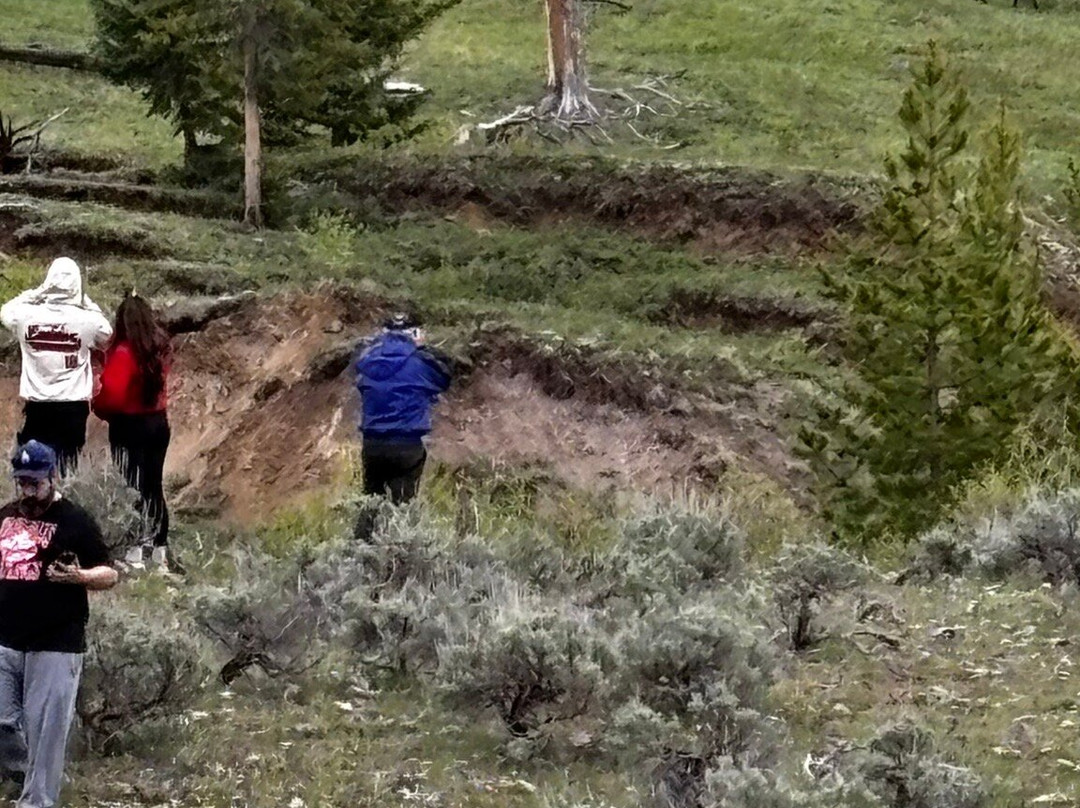 Lamar Valley Touring-加德纳必去景点