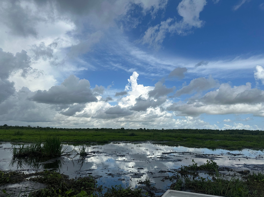 Ragin Cajun Airboat Tours-新奥尔良必去景点