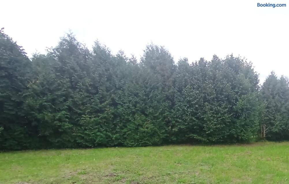 Nocleg-krosno, Korczyna