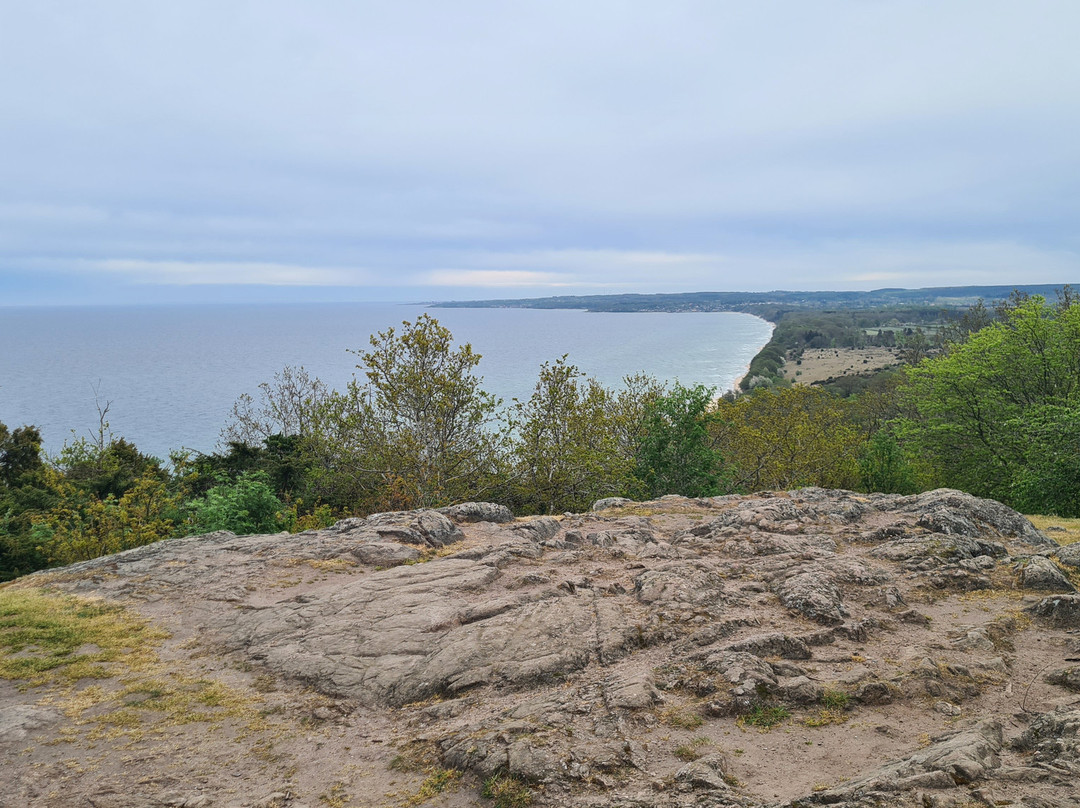 Stenshuvud Nationalpark-Kivik必去景点