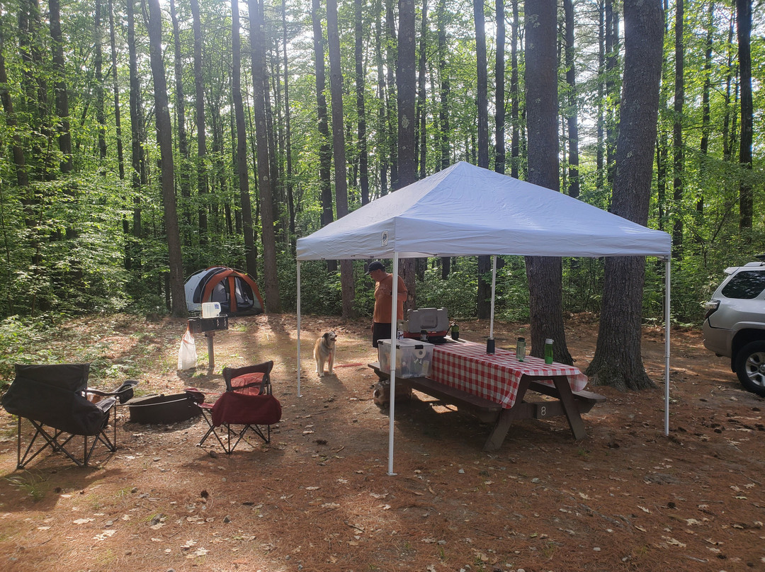 Willard Brook State Forest-Ashby必去景点