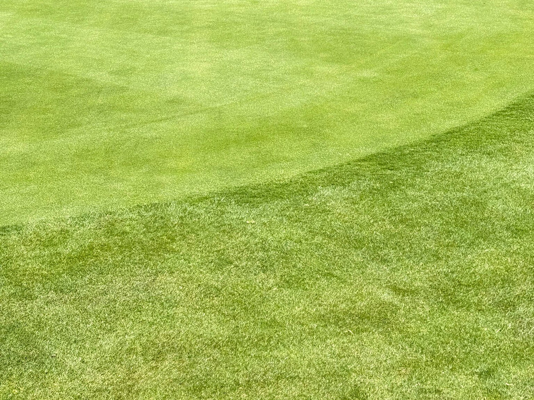 Woodsome Hall Golf Course-Huddersfield必去景点