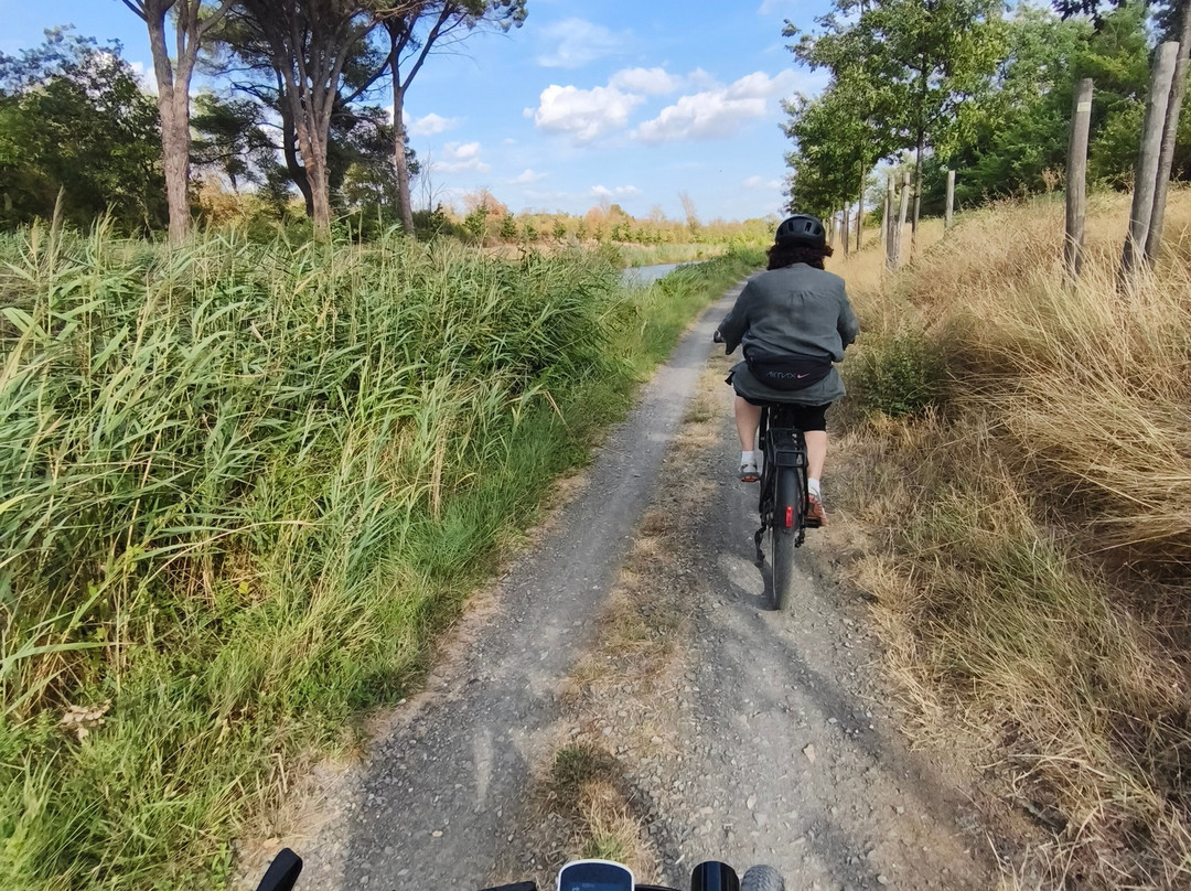 Easy Vélo Carcassonne-Villegly必去景点