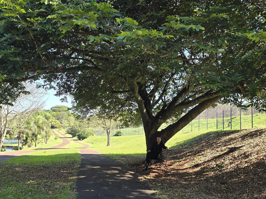 Jardim Botânico de Londrina-Londrina必去景点