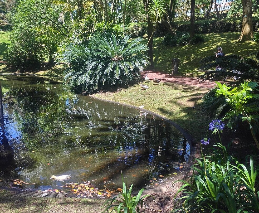 Jardim Botânico António Borges-蓬塔德尔加达必去景点